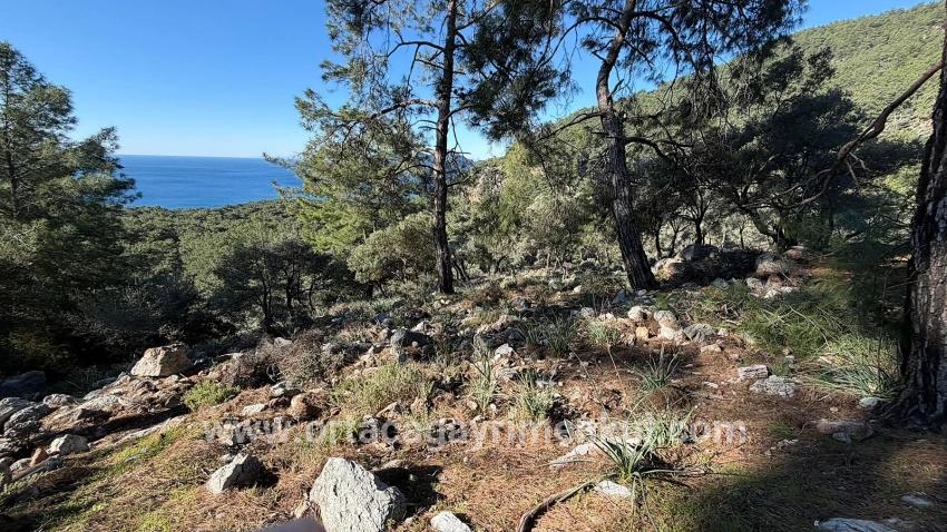Field For Sale in Çandır Nbh. Köyceğiz - Housing Zoned - 5.715 m²