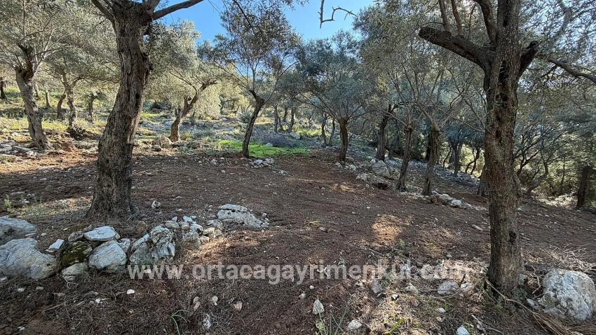 Field For Sale in Çandır Nbh. Köyceğiz - Housing Zoned - 5.715 m²