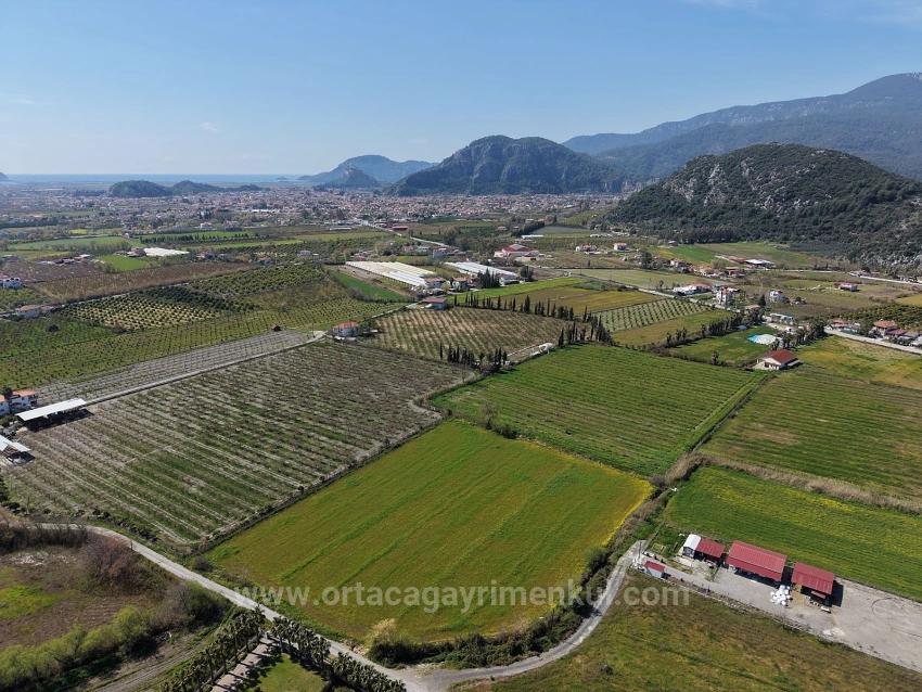 17.550M2 Vineyard-Bahce For Sale Close To Dalyan Center