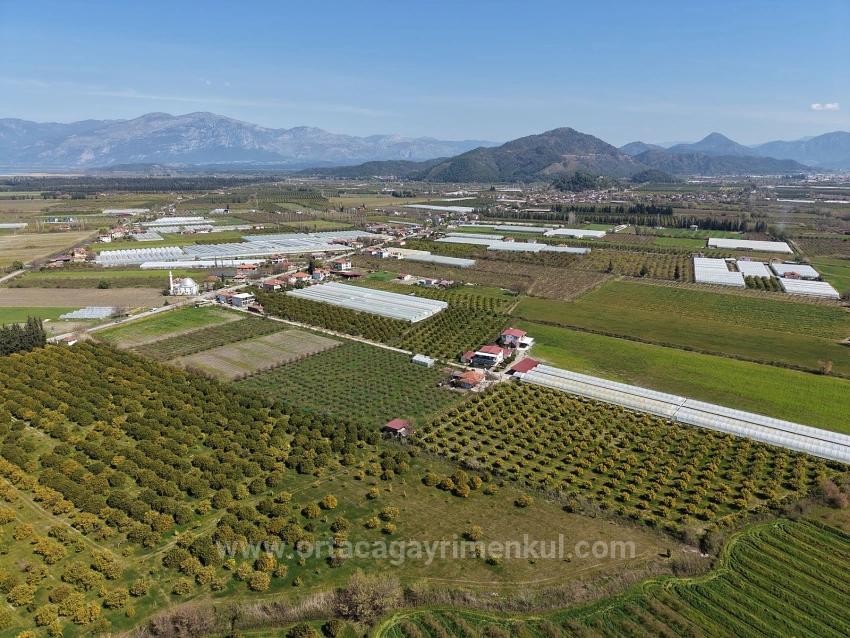 17.550M2 Vineyard-Bahce For Sale Close To Dalyan Center