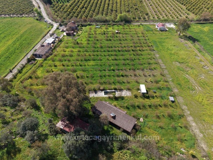 Tourism-Oriented Business For Sale On An 11,000 M2 Plot Of Land In Eskiköy.