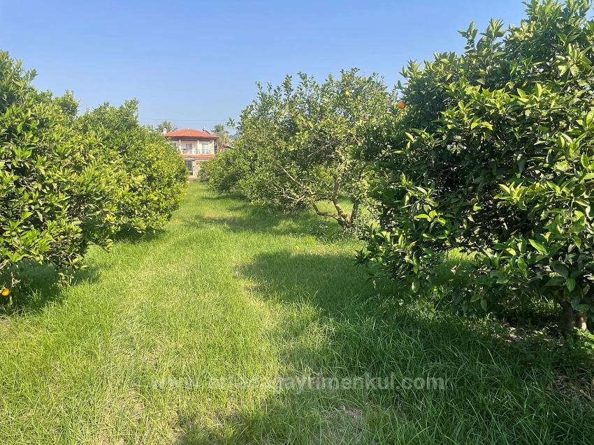 722M2 Land For Sale In Dalyan Gülpınar