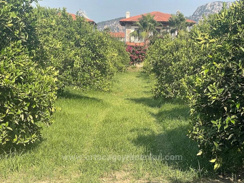 722M2 Land For Sale In Dalyan Gülpınar