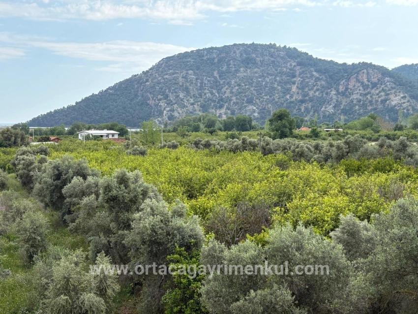 In Çandır, 1.721M2 Land For Sale With Sea And Lake View