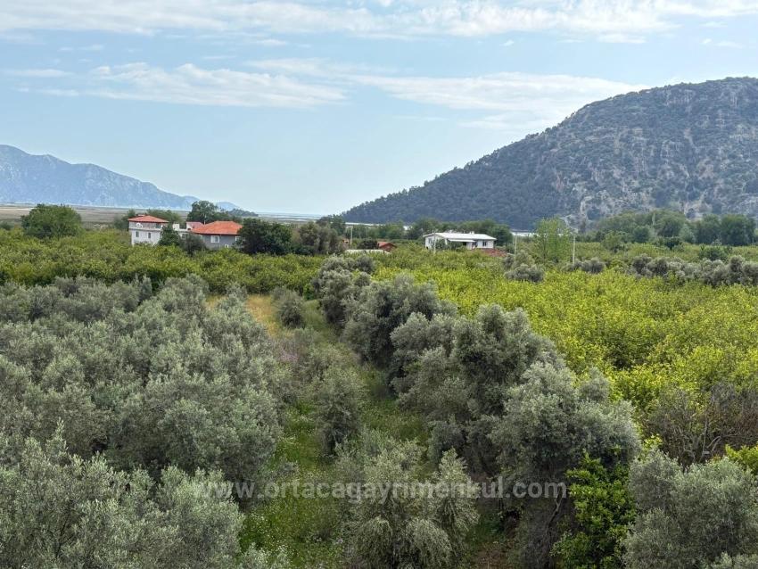 1.721M2 Field For Sale With Sea And Lake Views In Çandır Village