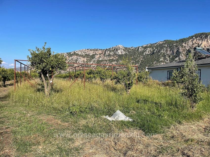 6600M2 Plot Of Land For Sale Near The Center Of Dalyan.