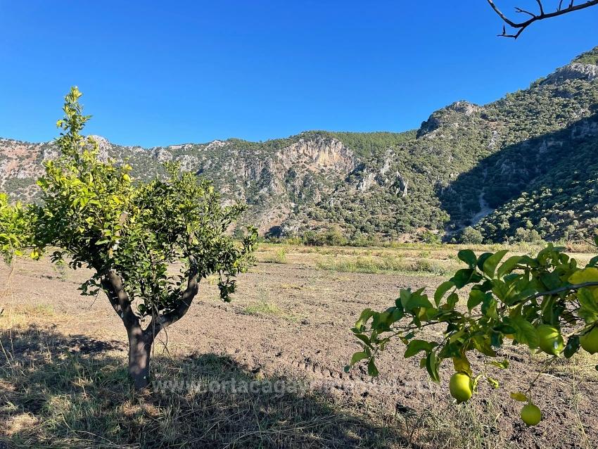 6600M2 Plot Of Land For Sale Near The Center Of Dalyan.
