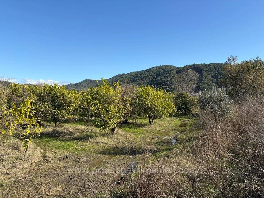 23,000 M² Detached Land For Sale In Tepearası.