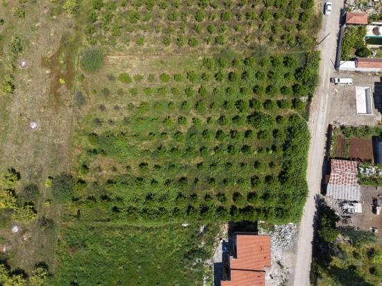 Land For Sale In Okçular, 1050m2, In The Village Residential Area.