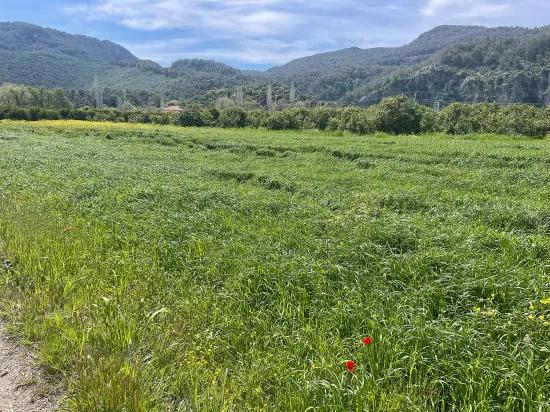 Archers' In Okçular'da 736M2 Olan 250M2 Construction Licensed For Sale Plot