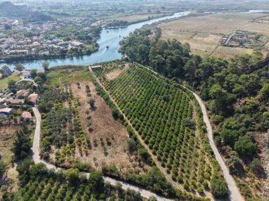 Village Of Köyceğiz Çandır Neighbourhood With Zero Channel 20,000m2 For Sale Land