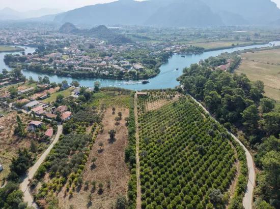 Village Of Köyceğiz Çandır Neighbourhood With Zero Channel 20,000m2 For Sale Land