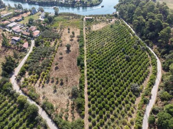 Village Of Köyceğiz Çandır Neighbourhood With Zero Channel 20,000m2 For Sale Land