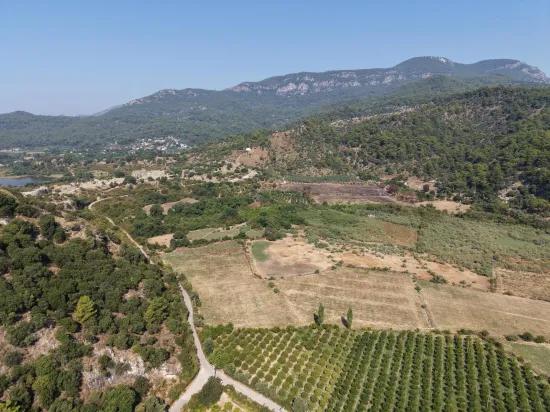 Village Of Köyceğiz Çandır Neighbourhood With Zero Channel 20,000m2 For Sale Land