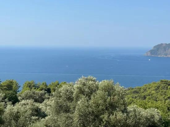 Field With Sea View, 21.000 M2, 2b, For Sale In Çandır