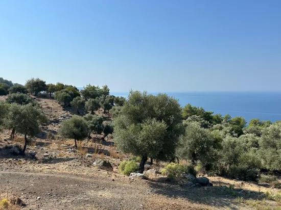 Field With Sea View, 21.000 M2, 2b, For Sale In Çandır