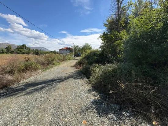 10.500 M2 Field For Sale In Köyceğiz Zeytinalanı