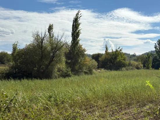 10.500 M2 Field For Sale In Köyceğiz Zeytinalanı
