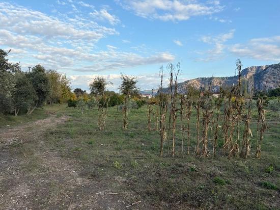 7,450 M² Plot Of Land For Sale In Dalyan With 5% Zoning.