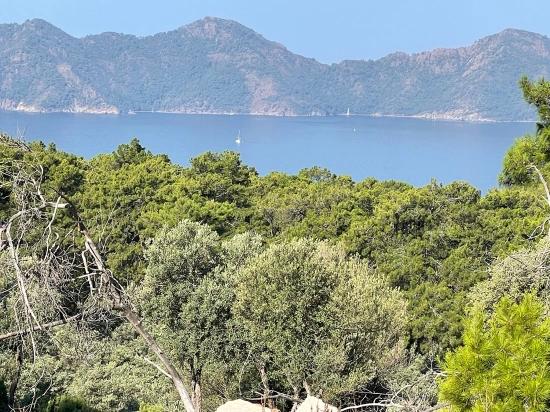 Bargain Real Estate Land For Sale With Sea View In Ekincik Çandır Arasın