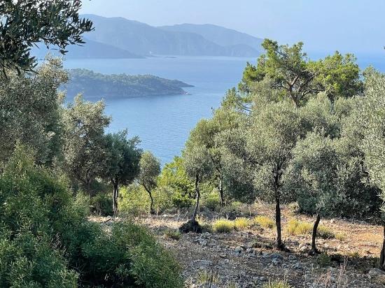 Bargain Real Estate Land For Sale With Sea View In Ekincik Çandır Arasın