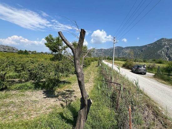 5,100 M² Plot Of Land For Sale In Dalyan, Maraş Area, Zoned For 5% Residential Use.