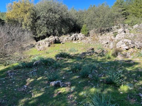 Land For Sale In Gökbel, Surrounded By Nature And Forest.