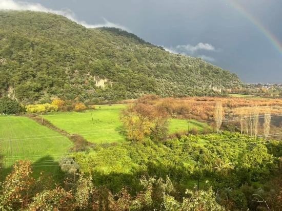 35,000 M² Farm Land For Sale In Çandır, Köyceğiz.