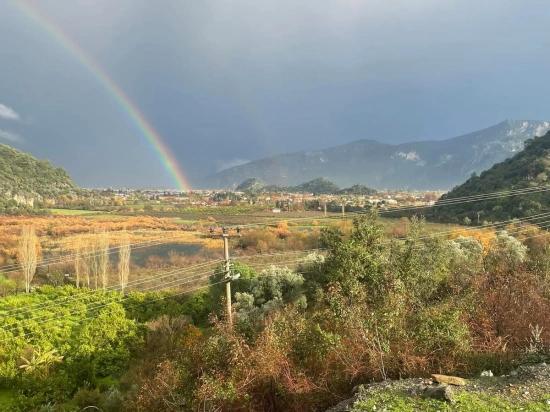 35,000 M² Farm Land For Sale In Çandır, Köyceğiz.