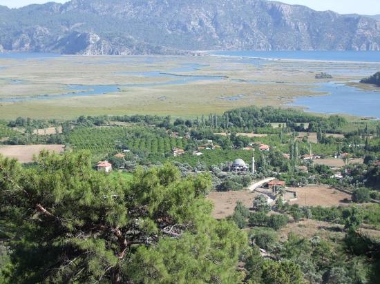 19,334 M² Plot Of Land For Sale In Çandır, Köyceğiz.