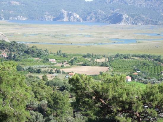 19,334 M² Plot Of Land For Sale In Çandır, Köyceğiz.