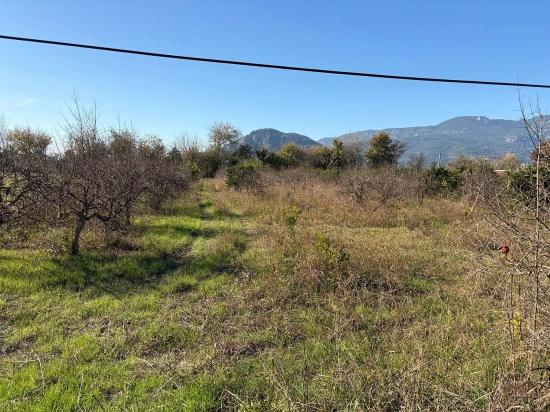 4,541 M² Garden For Sale In Dalyan.