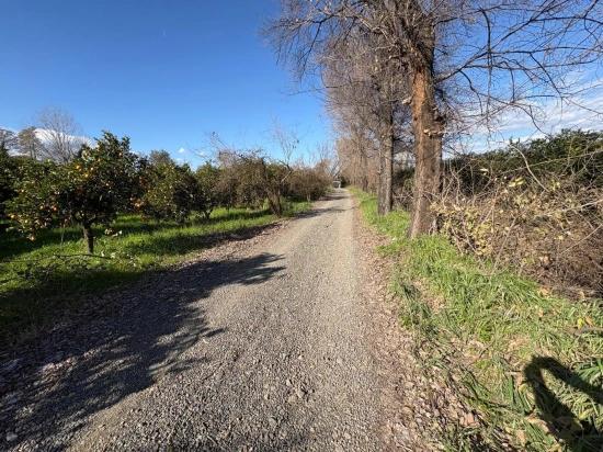 4,326 M² Plot Of Land For Sale In The Residential Area Of Okçular.