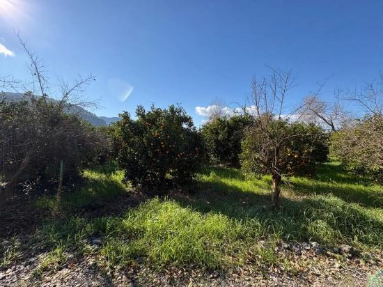4,326 M² Plot Of Land For Sale In The Residential Area Of Okçular.