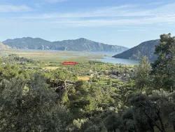 Field For Sale in Çandır Nbh. Köyceğiz - Field Zoned - 1.252 m²