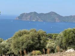 Field For Sale in Çandır Nbh. Köyceğiz - Field Zoned - 21.000 m²