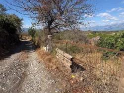 Field For Sale in Dalyan Nbh. Ortaca - Field Zoned - 5.000 m²