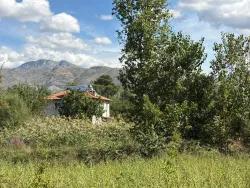 Field For Sale in Zeytinalanı Nbh. Köyceğiz - Field Zoned - 10.500 m²
