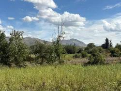 Field For Sale in Zeytinalanı Nbh. Köyceğiz - Field Zoned - 10.500 m²