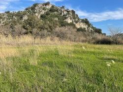 Land For Sale in Dalyan Nbh. Ortaca - Housing Zoned - 6.800 m²