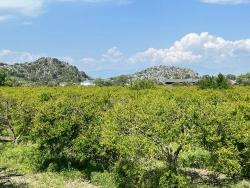 5,100 M² Plot Of Land For Sale In Dalyan, Maraş Area, Zoned For 5% Residential Use.
