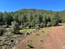 Land For Sale In Gökbel, Surrounded By Nature And Forest.