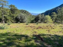 Field For Sale in Gökbel Nbh. Ortaca - Field Zoned - 24.163 m²
