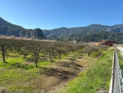 Land For Sale in Dalyan Nbh. Ortaca - Housing Zoned - 5.985 m²