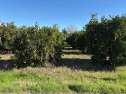 Land For Sale in Ekşiliyurt Nbh. Ortaca - Housing Zoned - 1.085 m²