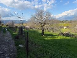 Field For Sale in Dalyan Nbh. Ortaca - Field Zoned - 11.230 m²