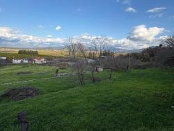 Field For Sale in Dalyan Nbh. Ortaca - Field Zoned - 11.230 m²