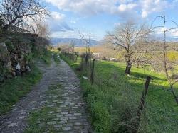 Field For Sale in Dalyan Nbh. Ortaca - Field Zoned - 11.230 m²