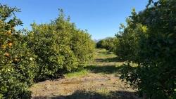 Land For Sale in Okçular Nbh. Ortaca - Housing Zoned - 2.218 m²