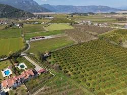 17.550M2 Vineyard-Bahce For Sale Close To Dalyan Center